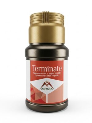 Terminate