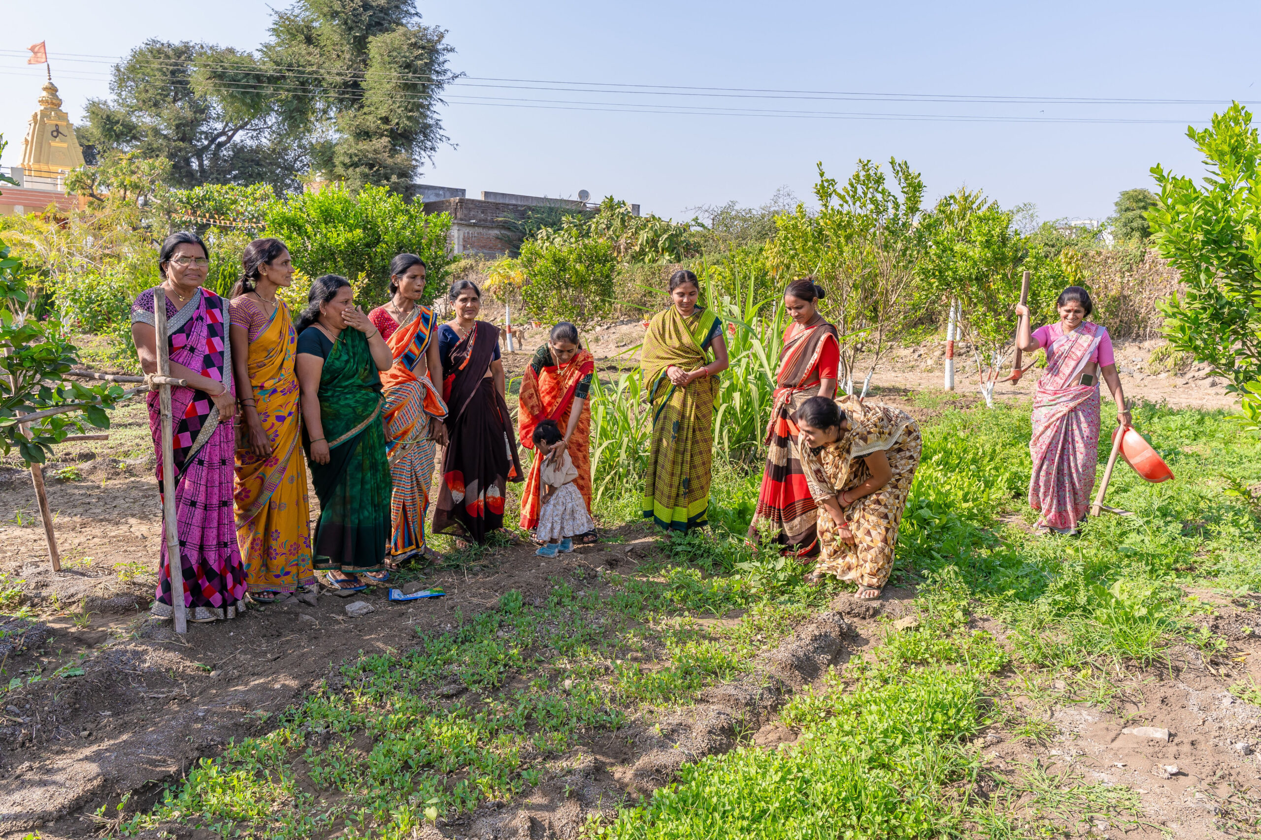 Bhoomi Vikas Agro