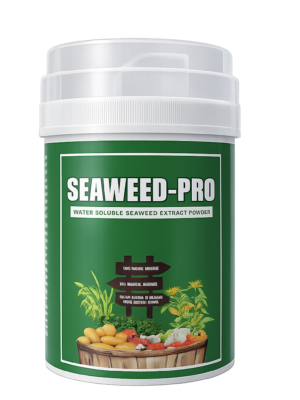 Bio Fertilizer