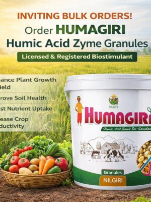 Humagiri