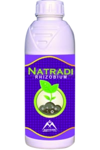 Natradi