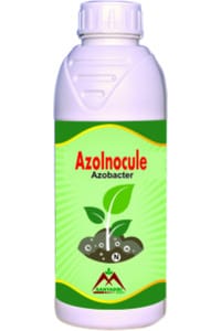 Azo-Inocule