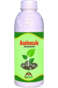 Azolnocule