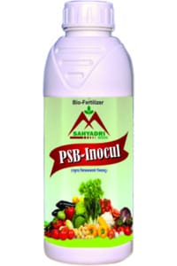 PSB-Inocul