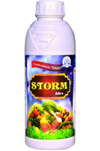 Storm