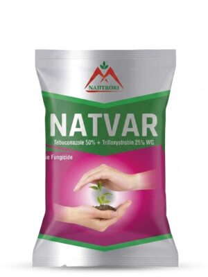 Natvar