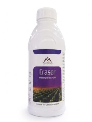 Eraser