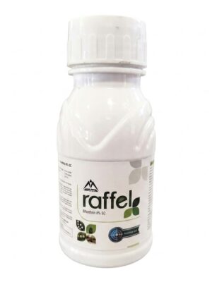Raffel